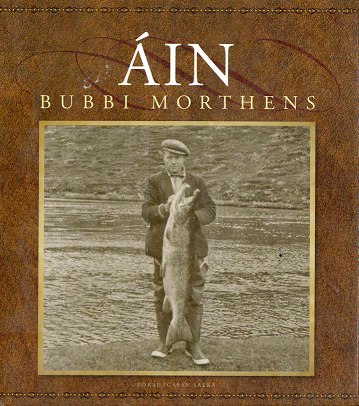 Áin