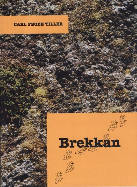 Brekkan