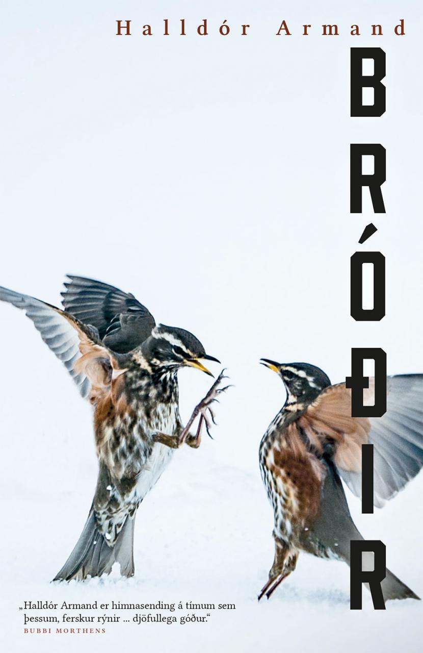bróðir