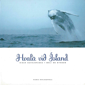 hvalir við ísland