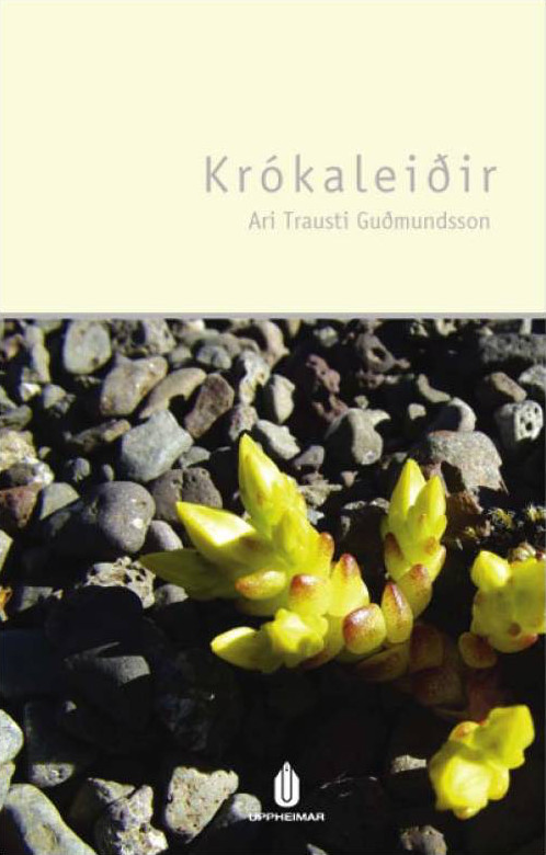 Krókaleiðir
