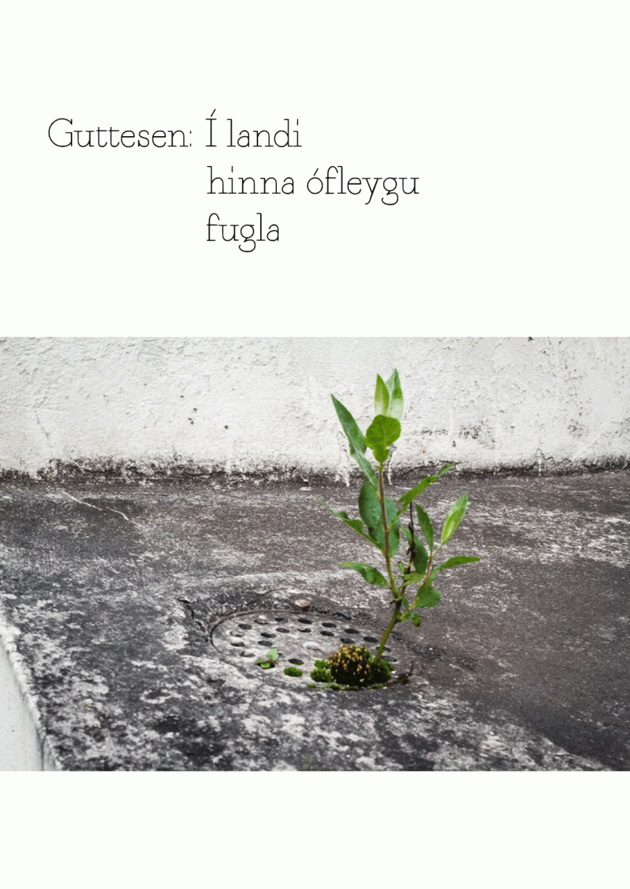 Í landi hinna ófleygu fugla