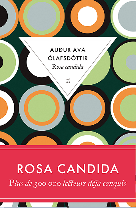 rosa candida