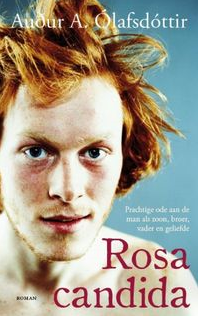 rosa candida hollenska