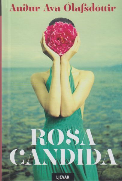 Rosa candida króatíska
