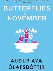 butterflies in november