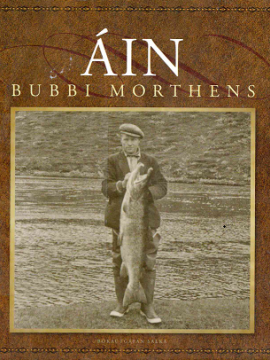 Áin