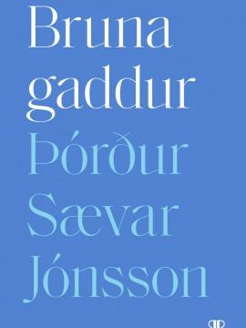 brunagaddur