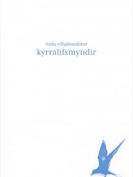kyrralífsmyndir