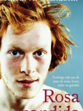 rosa candida hollenska